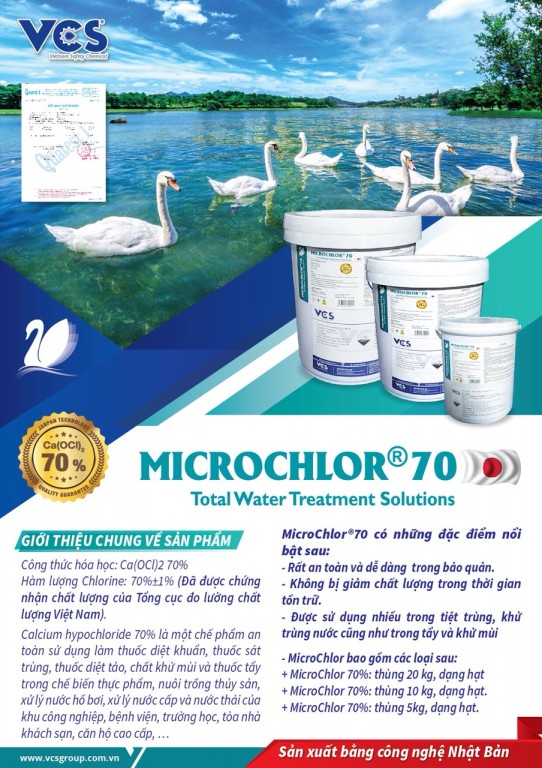 Tờ rơi Micro Chlorin1b