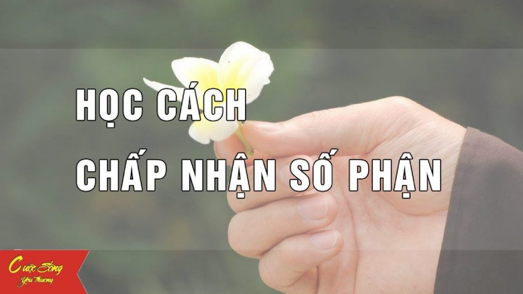 Chấp nhận cuộc sống