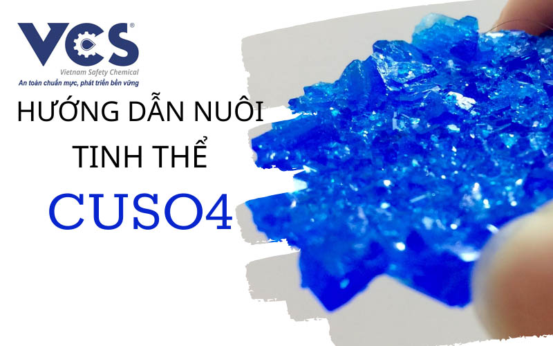 Hướng dẫn nuôi tinh thể CuSO4