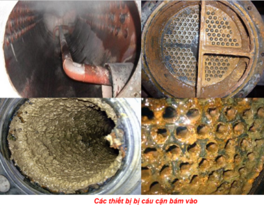 cách tẩy cáu cặn